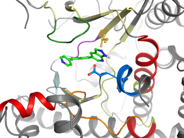 The orthosteric binding pocket