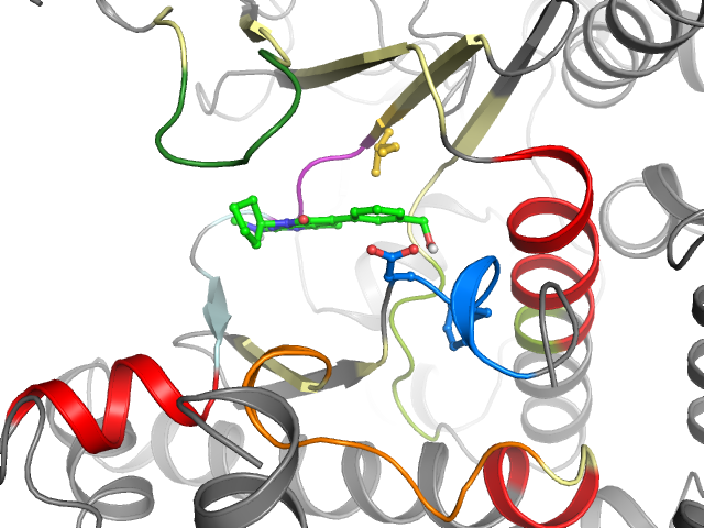 The orthosteric binding pocket