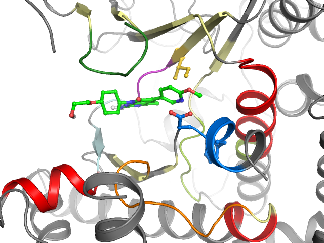 The orthosteric binding pocket