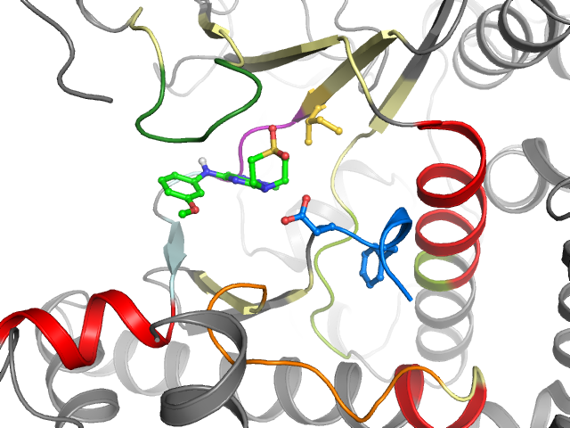 The orthosteric binding pocket