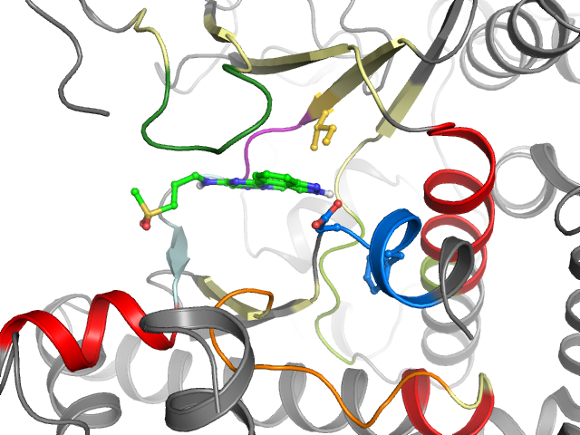 The orthosteric binding pocket