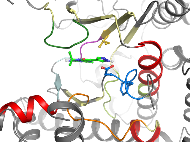 The orthosteric binding pocket