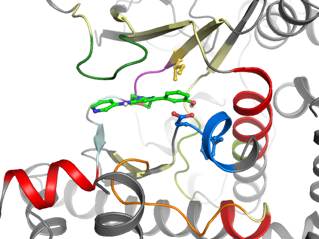 The orthosteric binding pocket