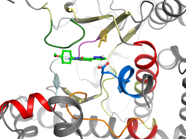 The orthosteric binding pocket