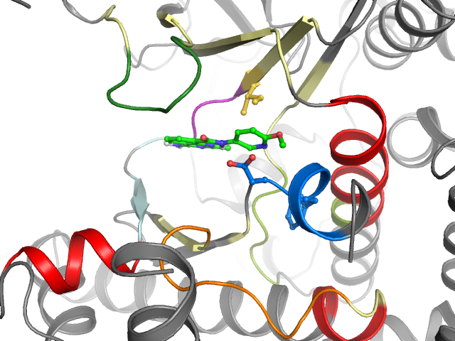 The orthosteric binding pocket