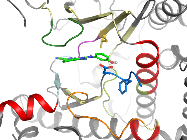 The orthosteric binding pocket