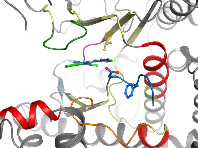 The orthosteric binding pocket
