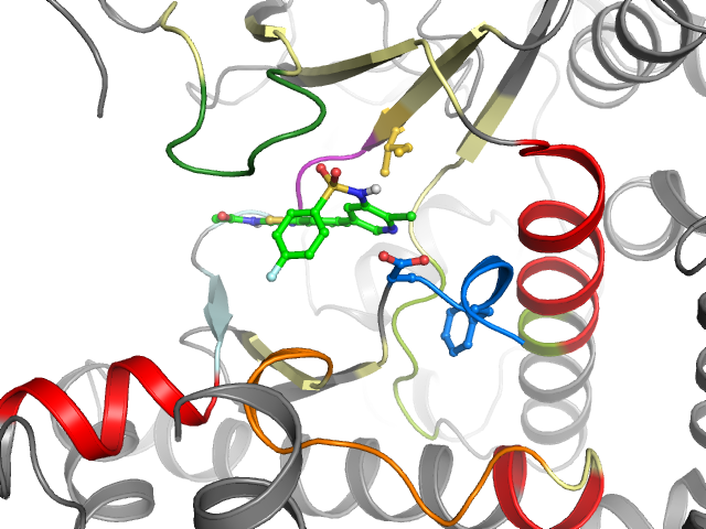 The orthosteric binding pocket