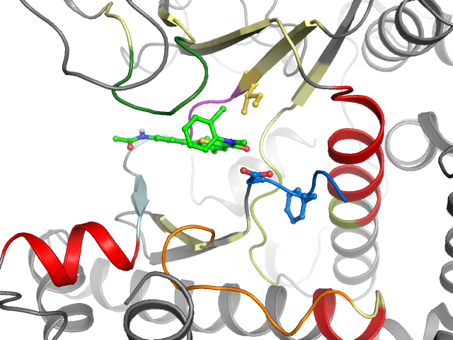 The orthosteric binding pocket