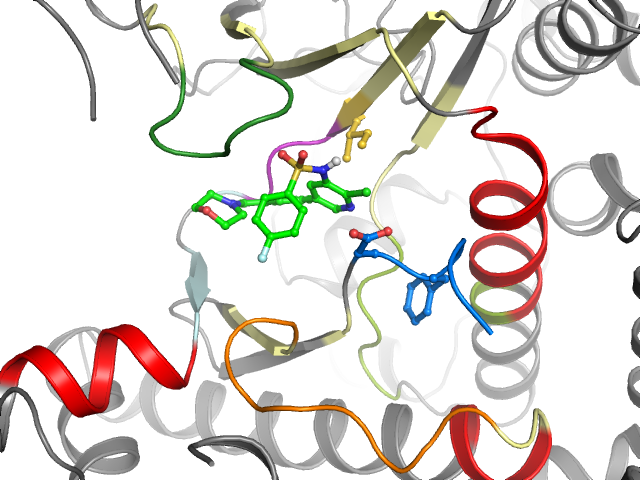 The orthosteric binding pocket