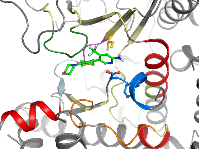 The orthosteric binding pocket