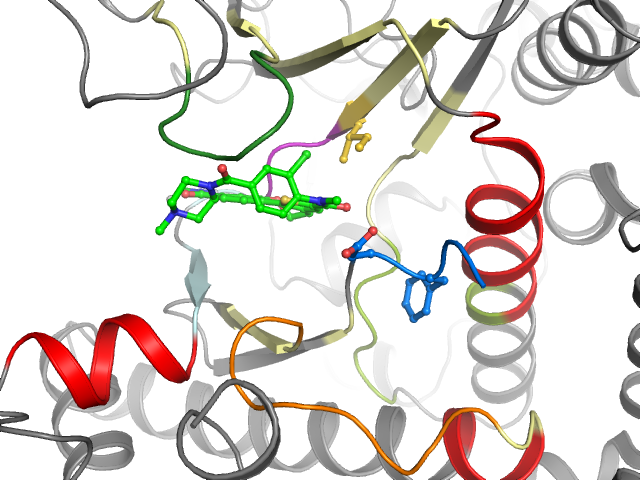The orthosteric binding pocket