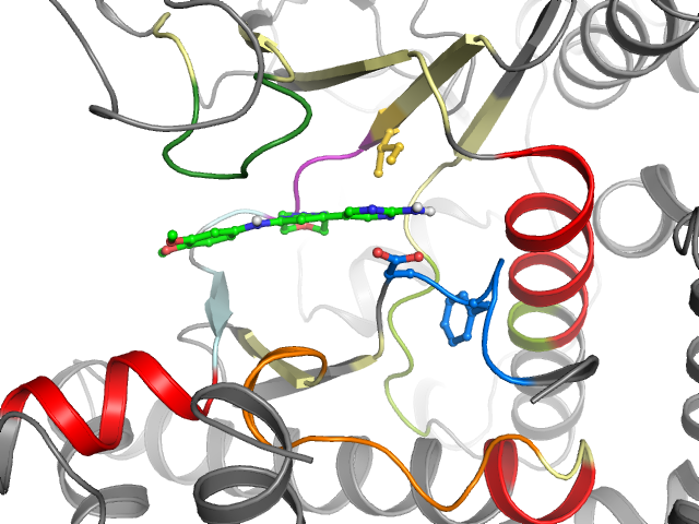 The orthosteric binding pocket