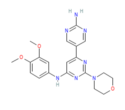 2D structure of the orthosteric ligand