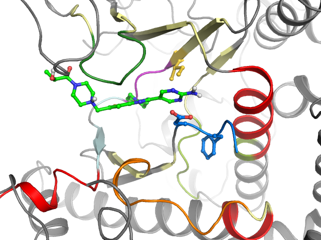 The orthosteric binding pocket
