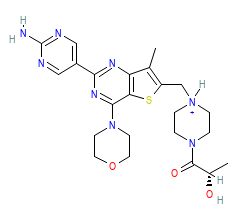 2D structure of the orthosteric ligand
