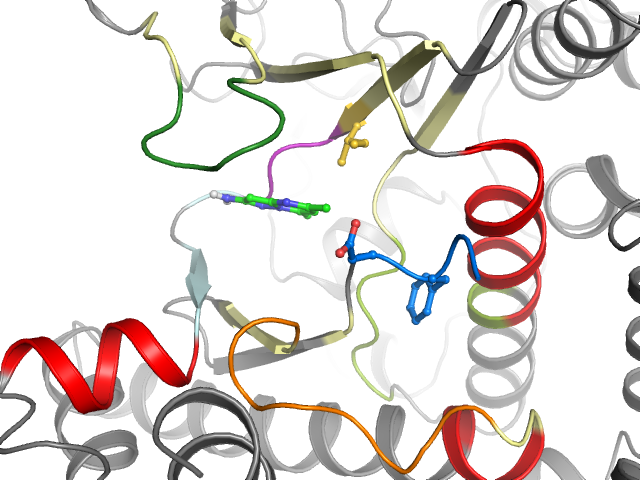 The orthosteric binding pocket