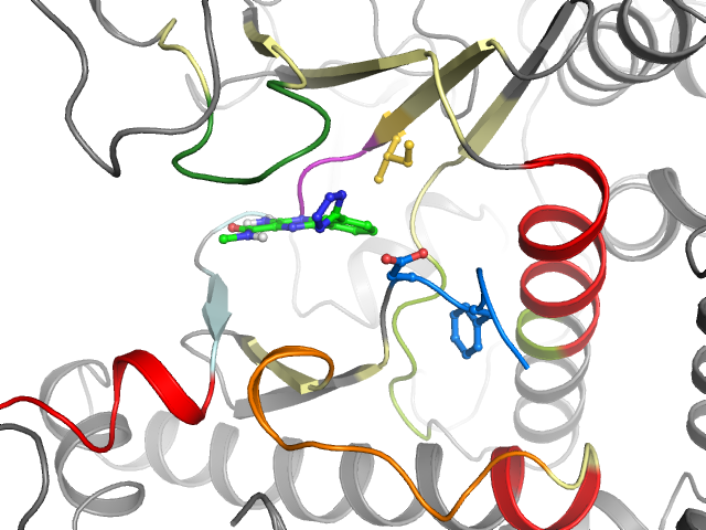 The orthosteric binding pocket