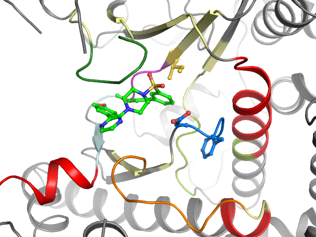 The orthosteric binding pocket