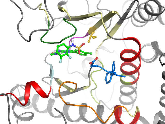 The orthosteric binding pocket