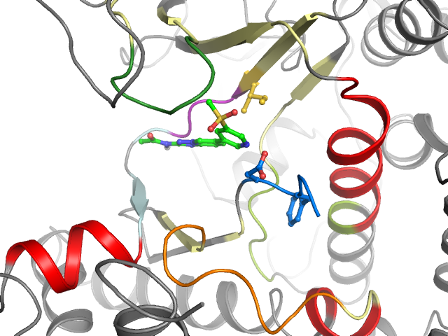 The orthosteric binding pocket