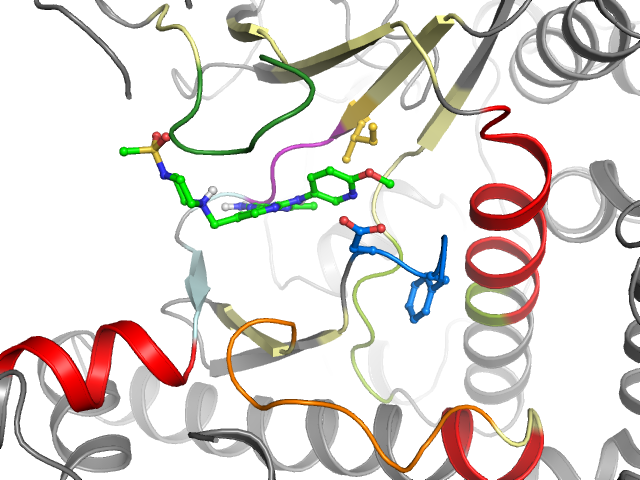 The orthosteric binding pocket