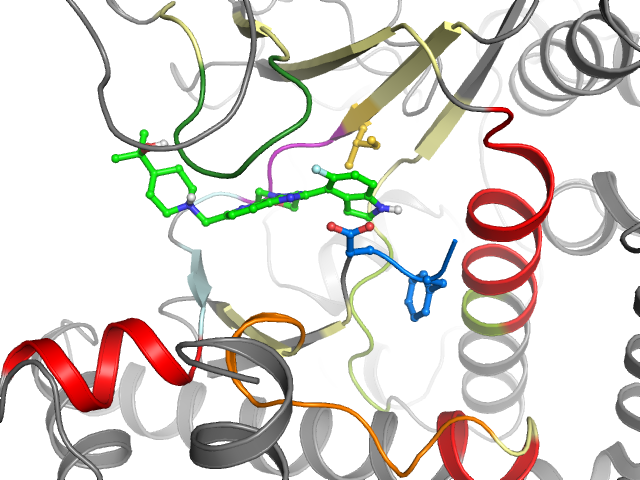 The orthosteric binding pocket