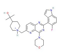 2D structure of the orthosteric ligand