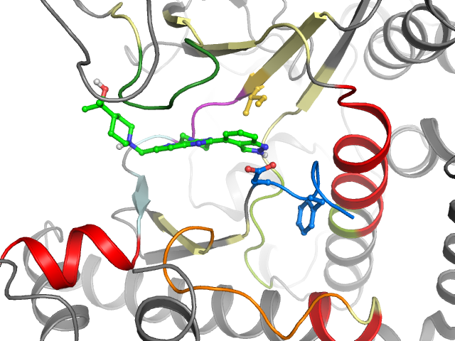 The orthosteric binding pocket