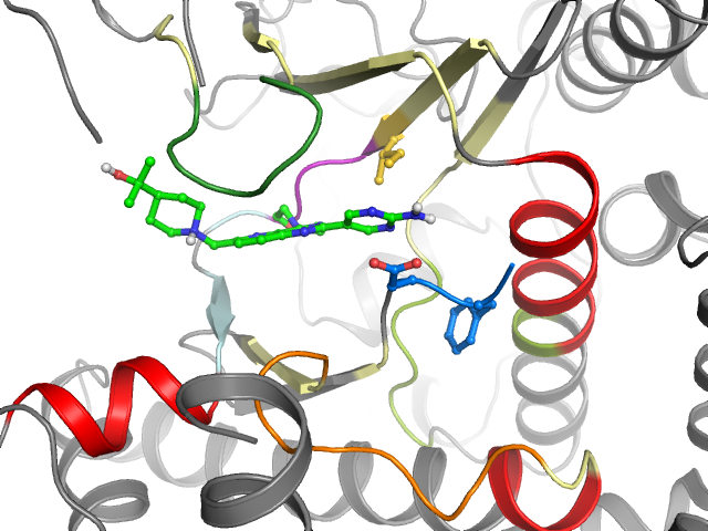 The orthosteric binding pocket