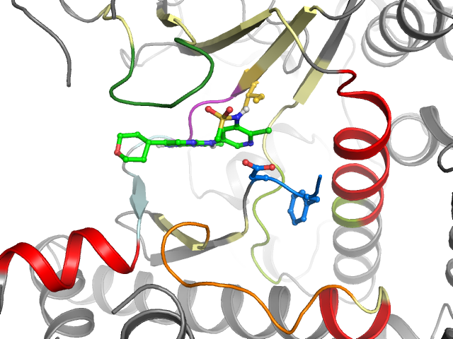 The orthosteric binding pocket