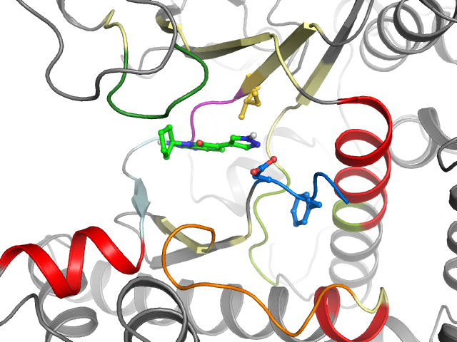 The orthosteric binding pocket