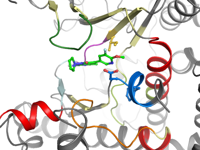 The orthosteric binding pocket