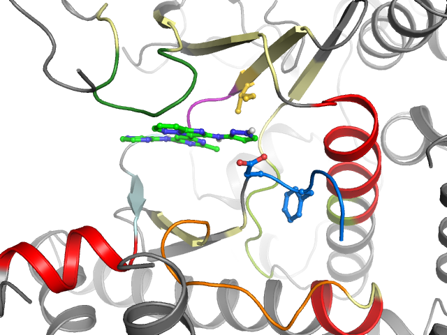 The orthosteric binding pocket