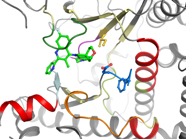 The orthosteric binding pocket