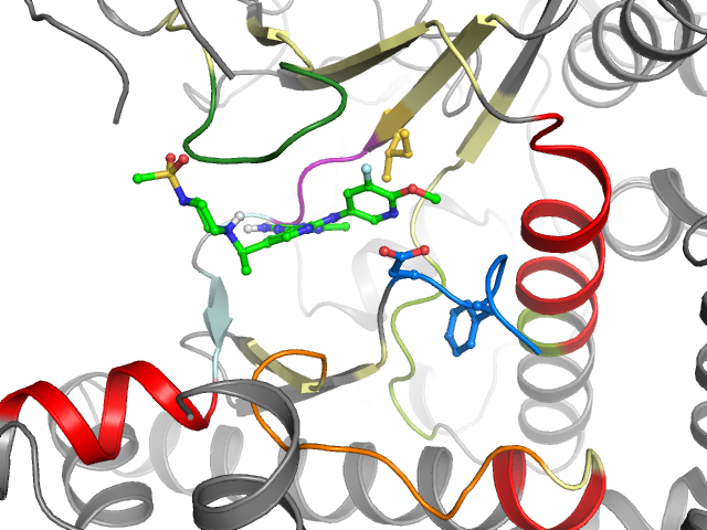 The orthosteric binding pocket