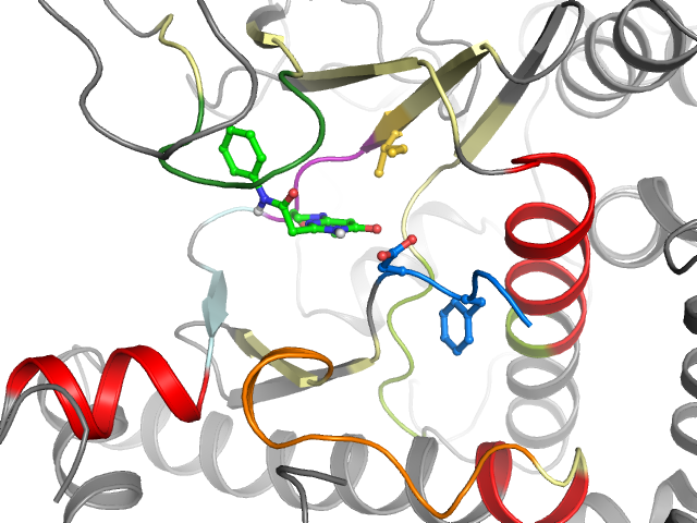 The orthosteric binding pocket