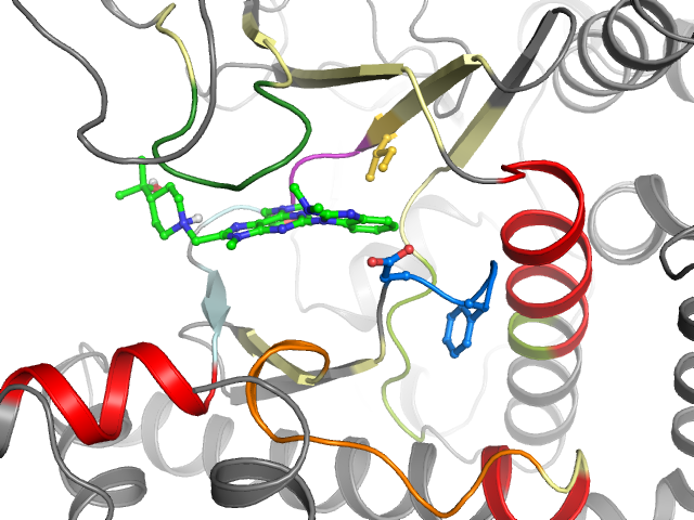 The orthosteric binding pocket