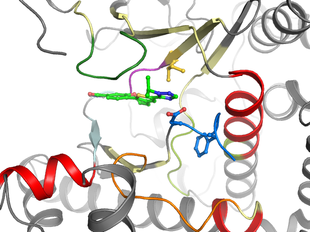 The orthosteric binding pocket