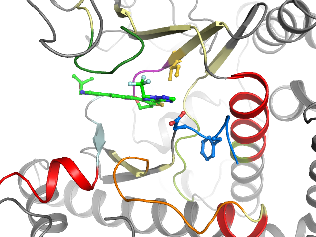The orthosteric binding pocket