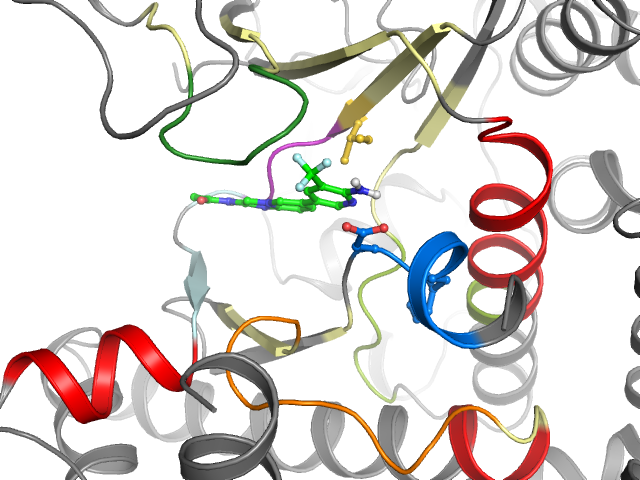 The orthosteric binding pocket