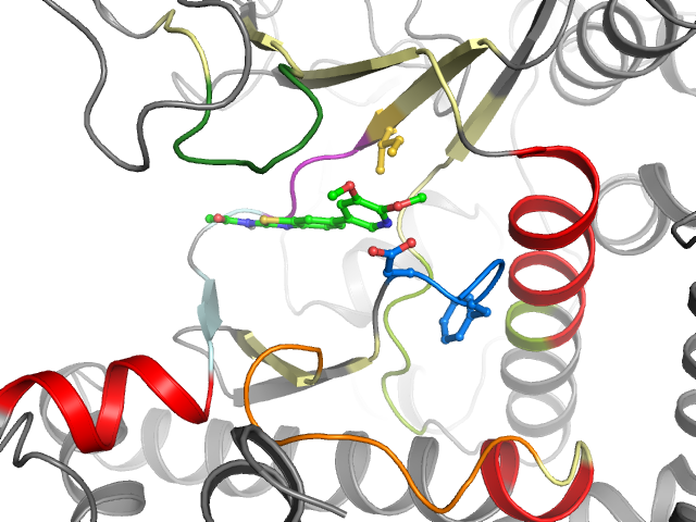 The orthosteric binding pocket