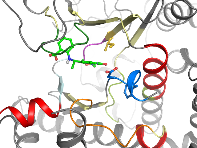 The orthosteric binding pocket