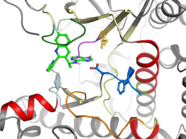 The orthosteric binding pocket