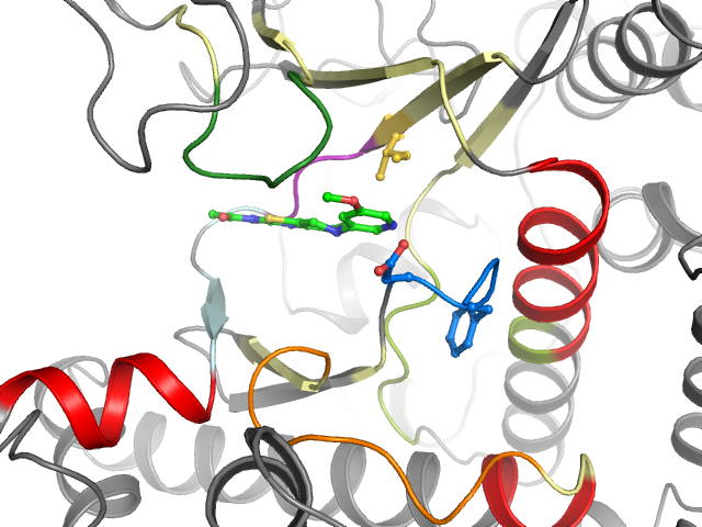 The orthosteric binding pocket