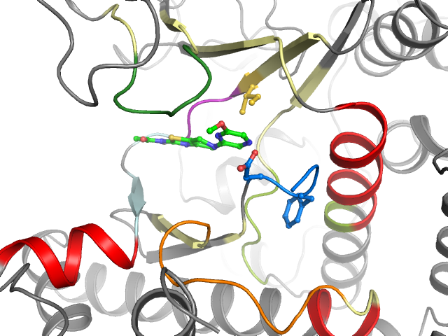 The orthosteric binding pocket