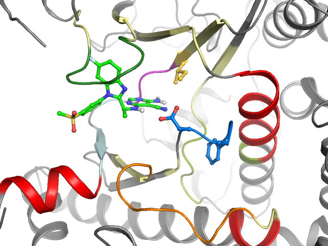 The orthosteric binding pocket