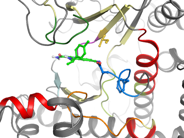 The orthosteric binding pocket