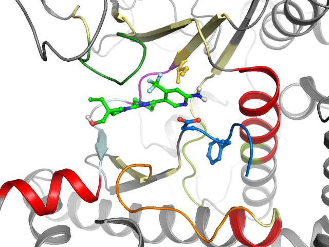 The orthosteric binding pocket