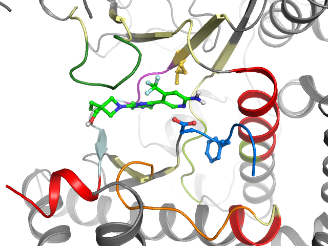 The orthosteric binding pocket